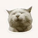 Blissful White Cat Sticker