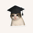 Crying Cat Graduation Sticker