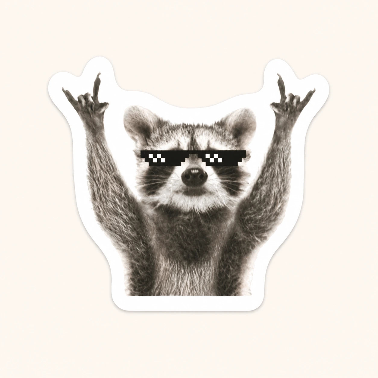 Deal With It Raccoon Sticker