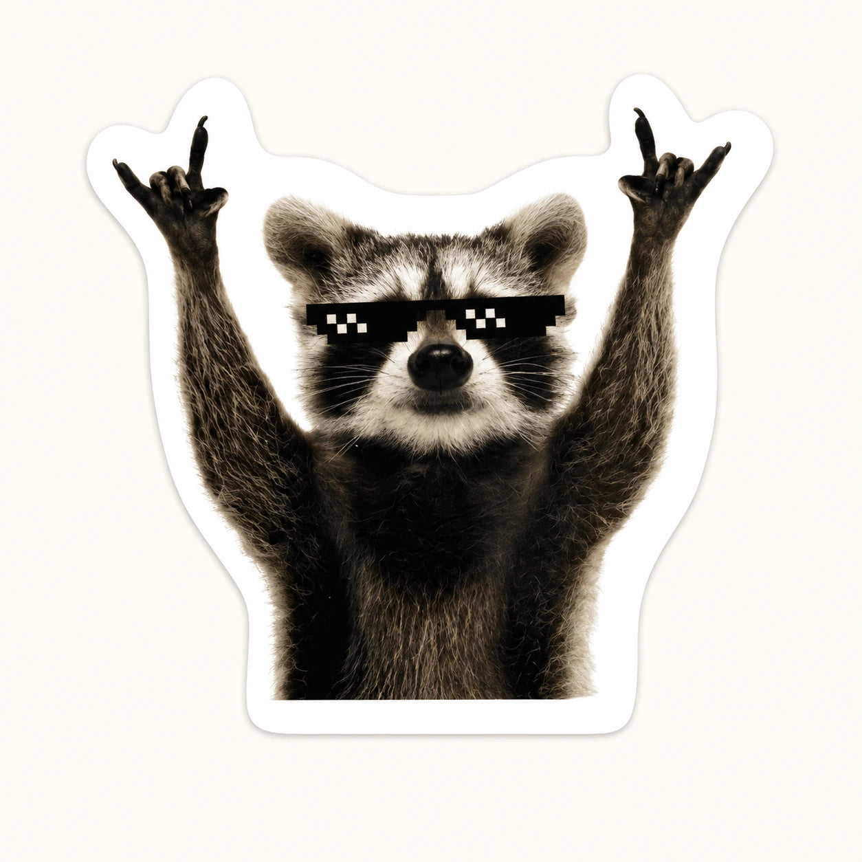 Rock Raccoon Sticker