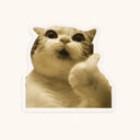 Wide-Eyed Thumbs-Up Cat Sticker