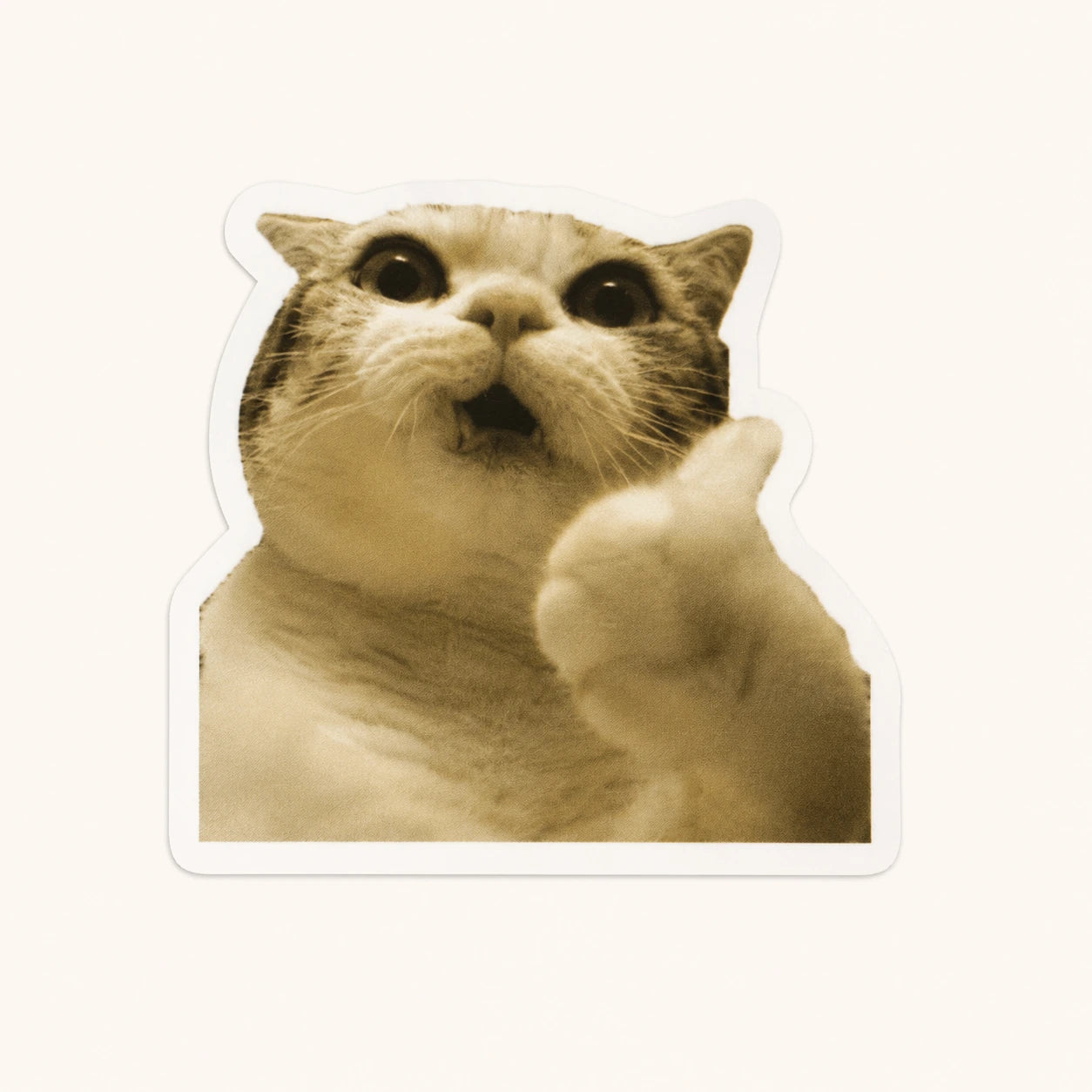 Wide-Eyed Thumbs-Up Cat Sticker