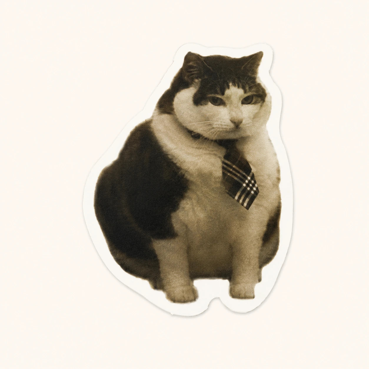 Business Cat Tie Sticker