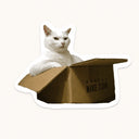 Cat In Nike Box Sticker