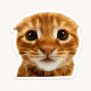 Cute Cat Face Sticker