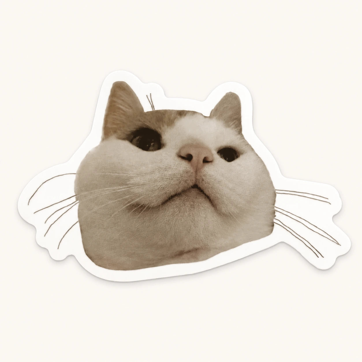 Chonky Cat Face Sticker