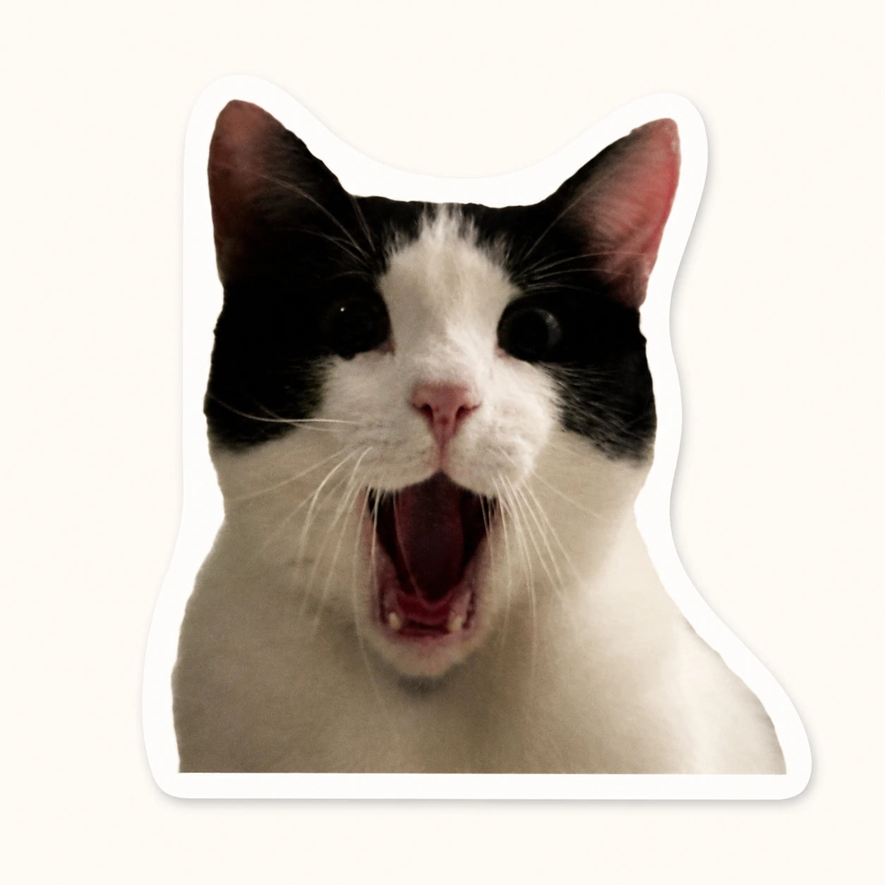 Yawning Cat Sticker