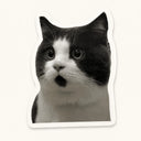 Shocked Black and White Cat Sticker