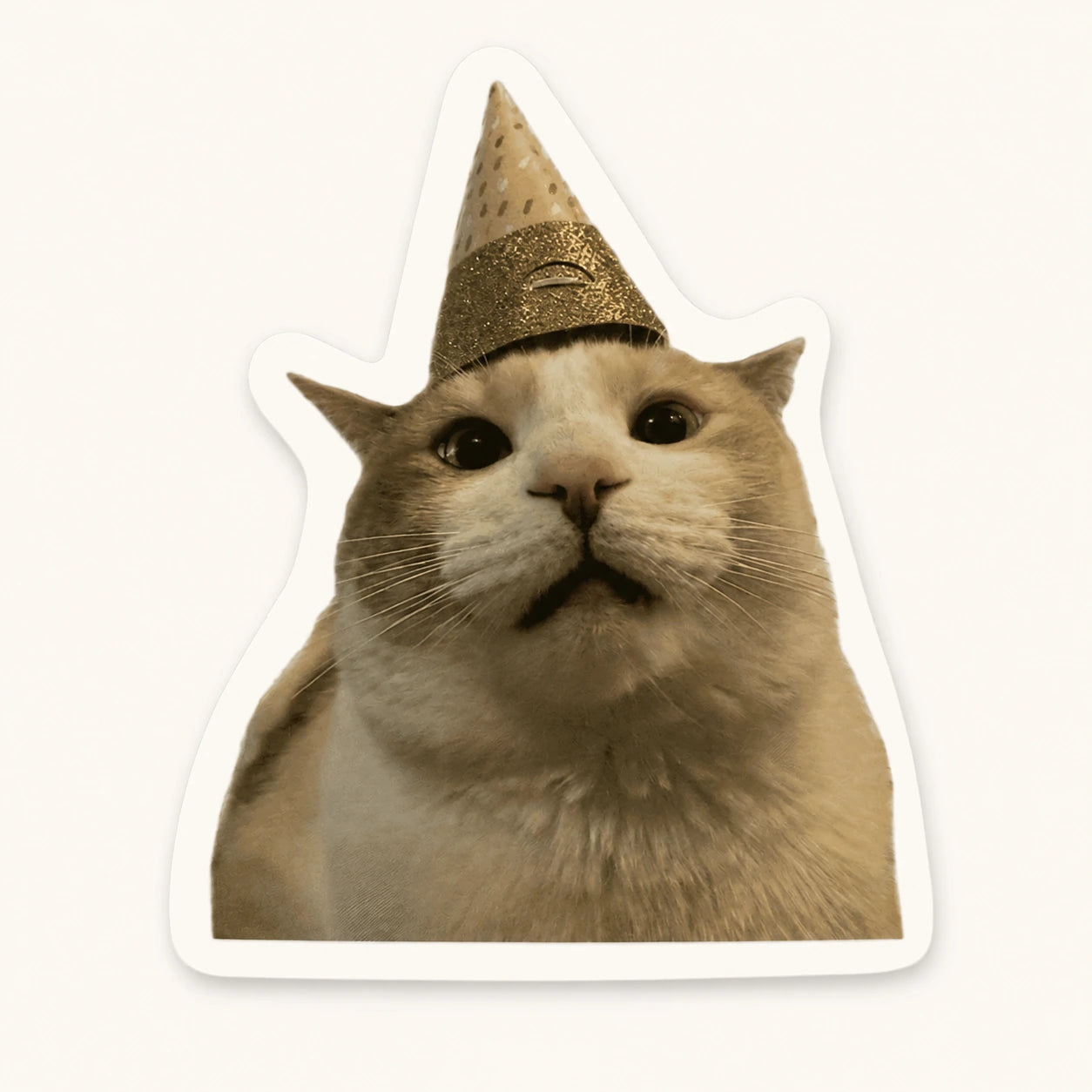 Party Cat Sticker
