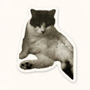 Grumpy Sitting Cat Sticker