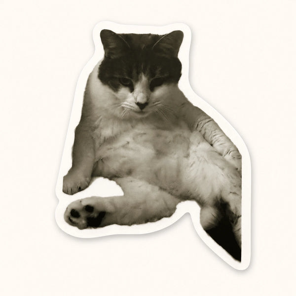 Grumpy Sitting Cat Sticker