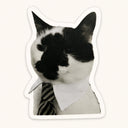 Business Cat Sticker