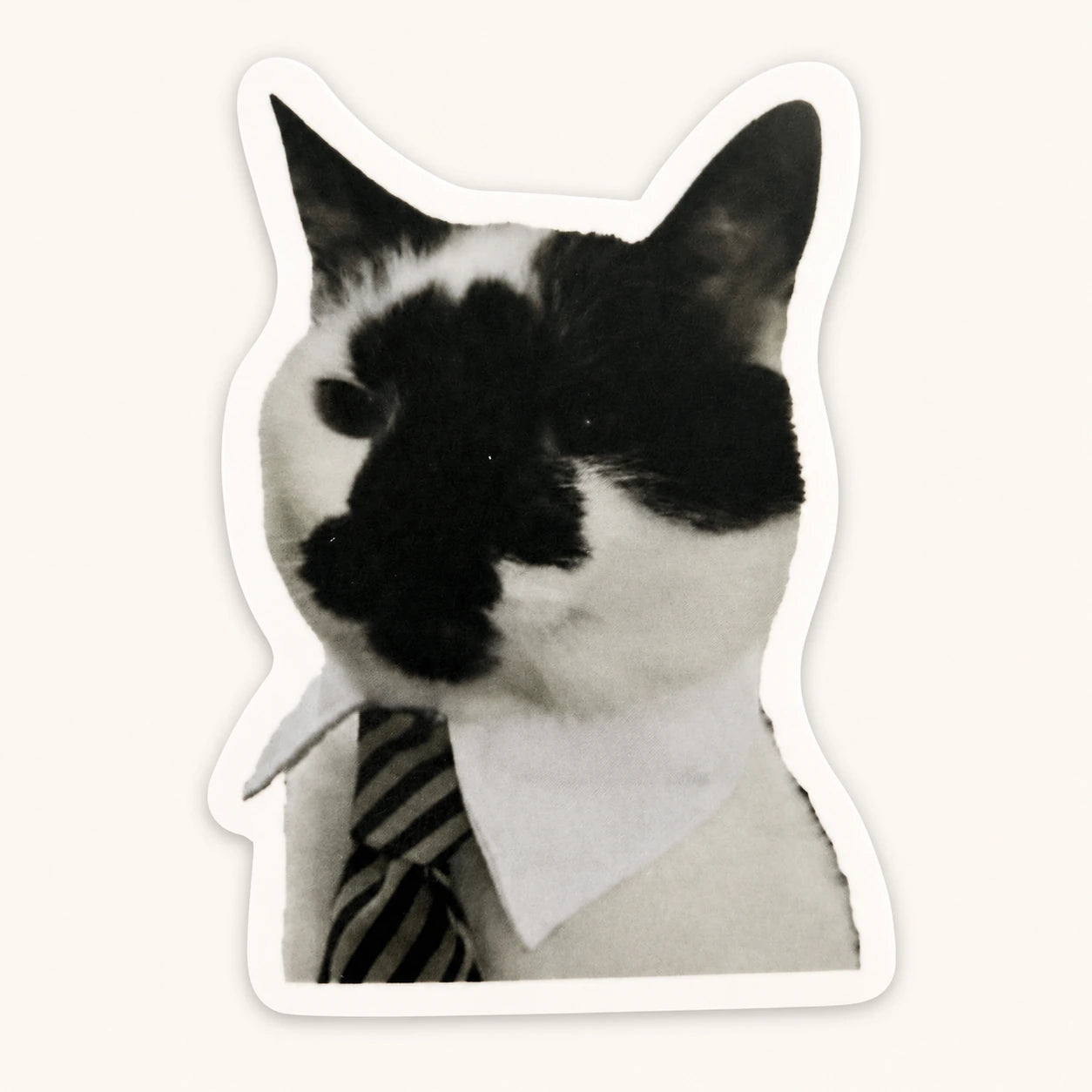 Business Cat Sticker