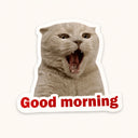 Good Morning Cat Sticker
