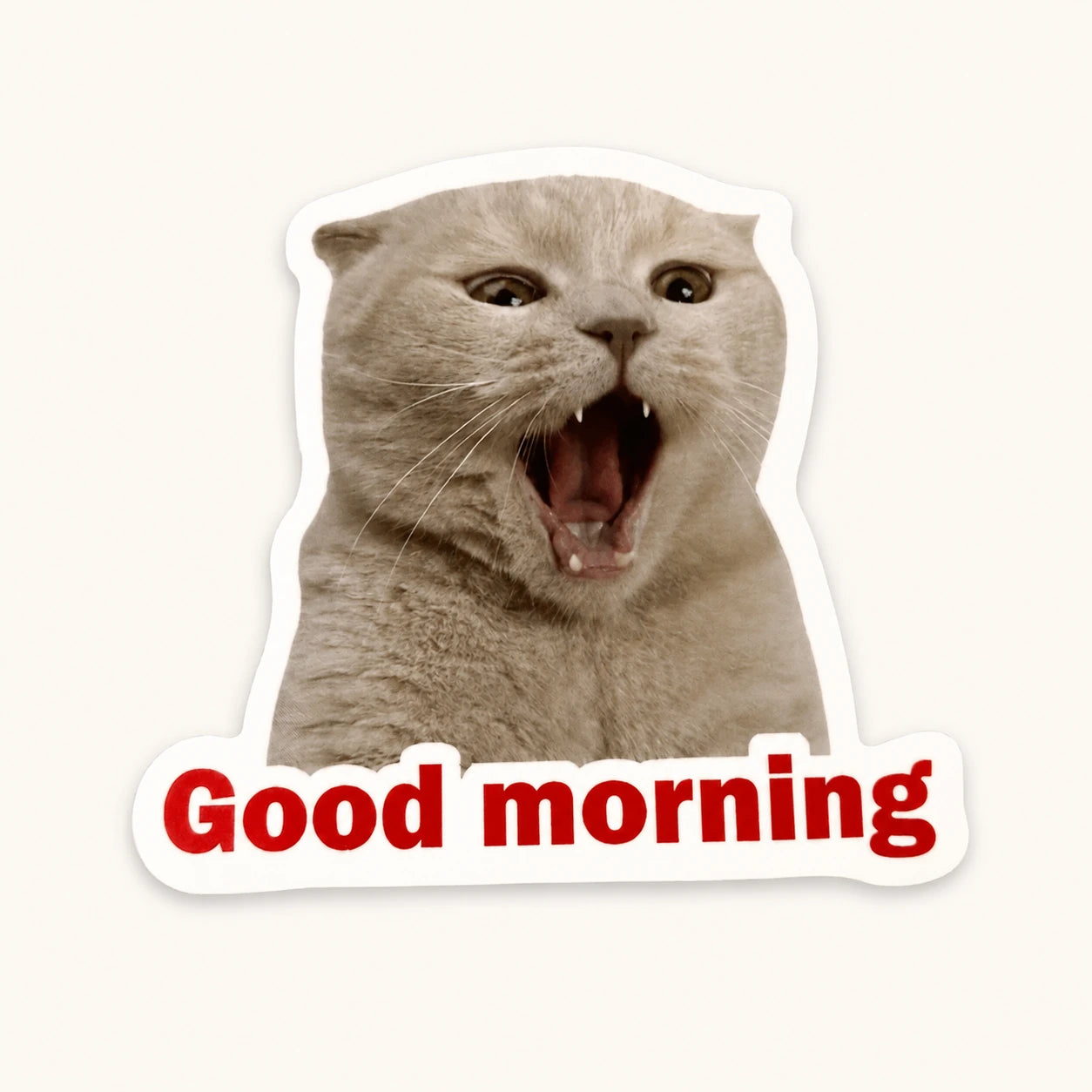 Good Morning Cat Sticker
