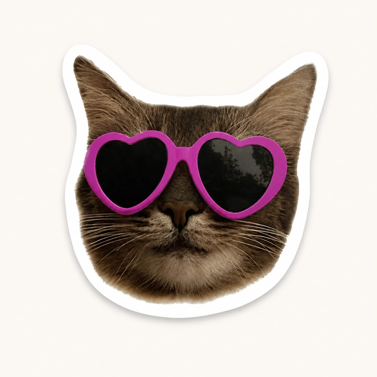 Cat In Heart Glasses Sticker