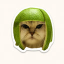 Cat In Lime Peel Sticker
