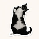 Belly Up Cat Sticker