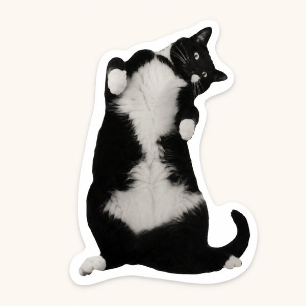 Belly Up Cat Sticker