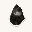 Sitting Cat Sticker