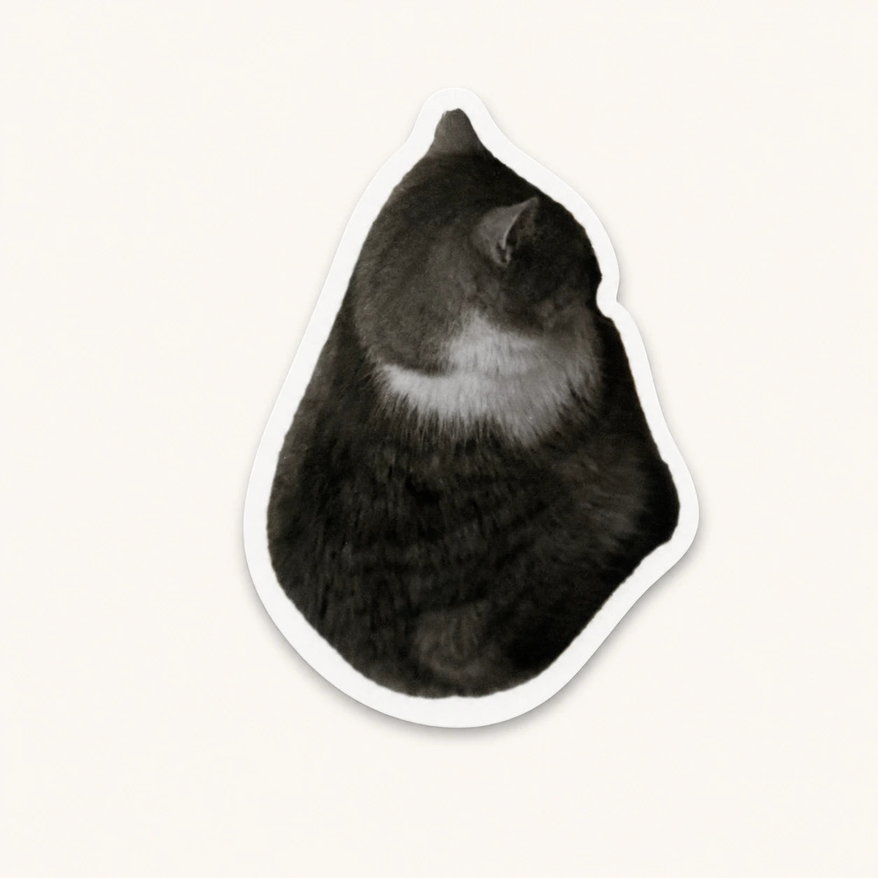 Sitting Cat Sticker