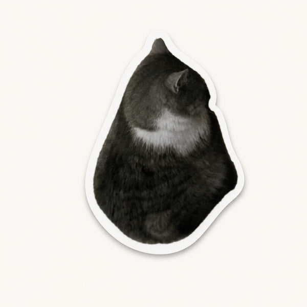 Sitting Cat Sticker