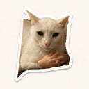 White Cat Hands Sticker