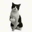Thumbs Up Tuxedo Cat Sticker