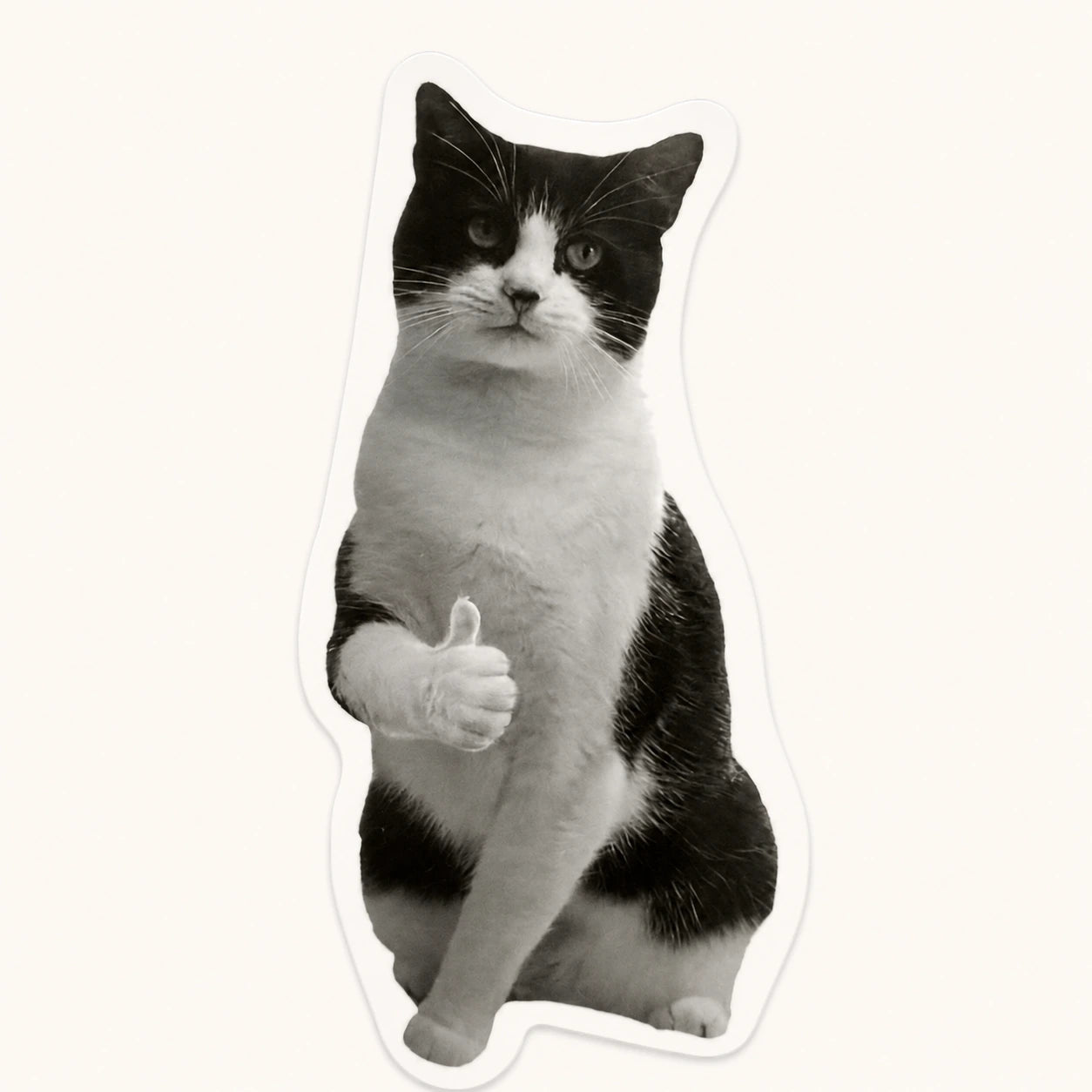 Thumbs Up Tuxedo Cat Sticker