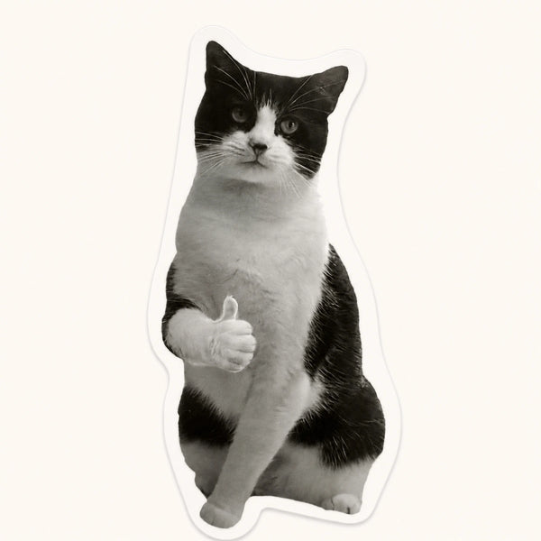 Thumbs Up Tuxedo Cat Sticker