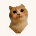Blushing Cat Face Sticker