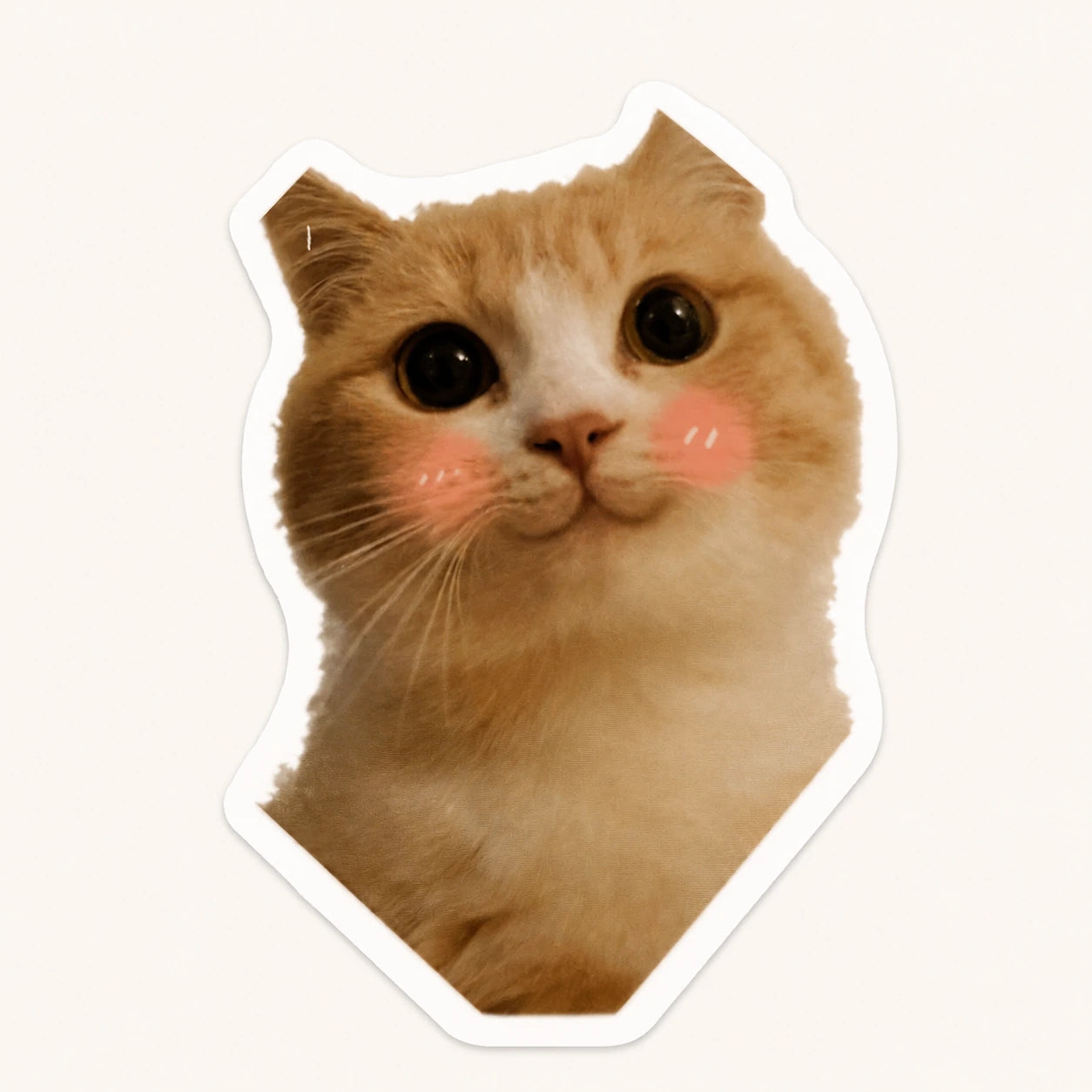 Blushing Cat Face Sticker