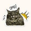 OMG Cat Sticker
