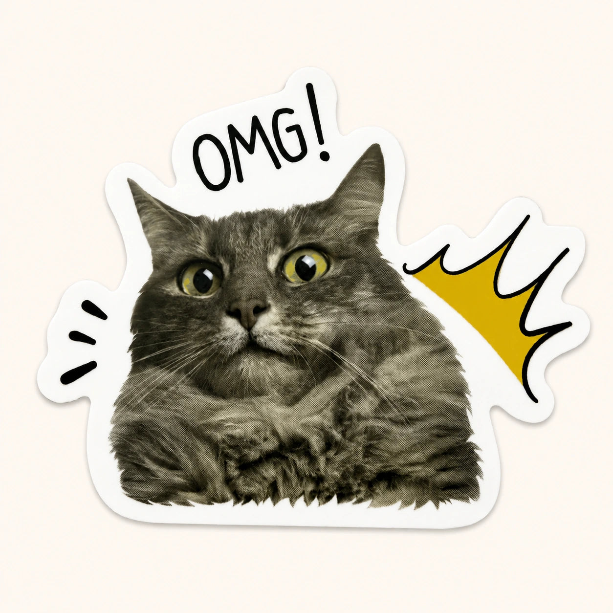 OMG Cat Sticker