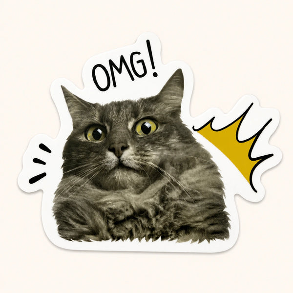 OMG Cat Sticker
