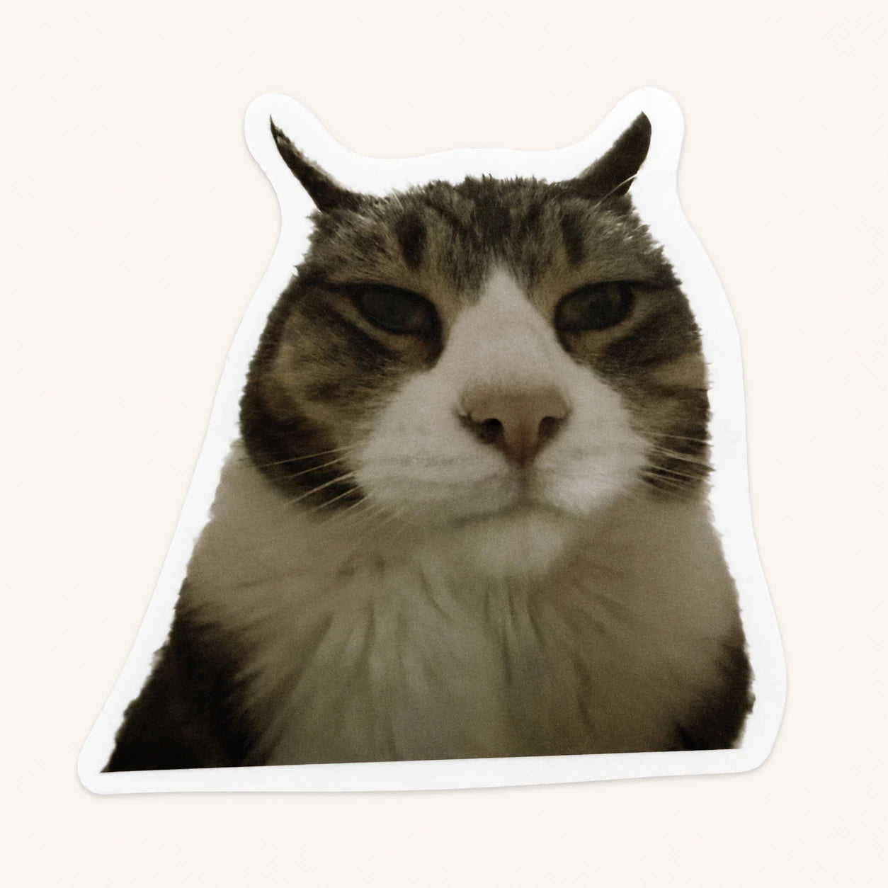 Grumpy Horned Cat Sticker