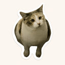 Chubby Cat Sticker