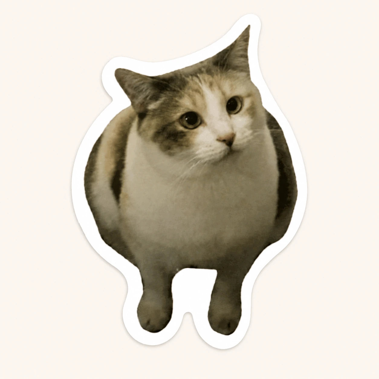Chubby Cat Sticker