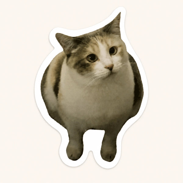 Chubby Cat Sticker