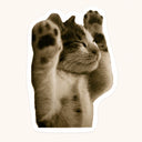Sepia Joyful Paws Up Cat Sticker