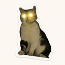 Glowing Eyed Cat Sticker