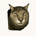 Sleepy Cat Sticker