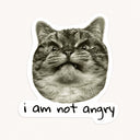 Not Angry Cat Sticker