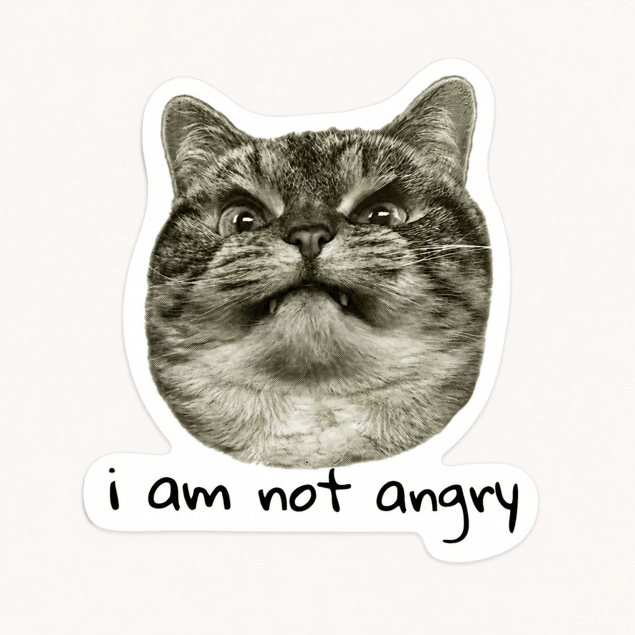 Not Angry Cat Sticker