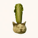 Cat With Lettuce Sticker