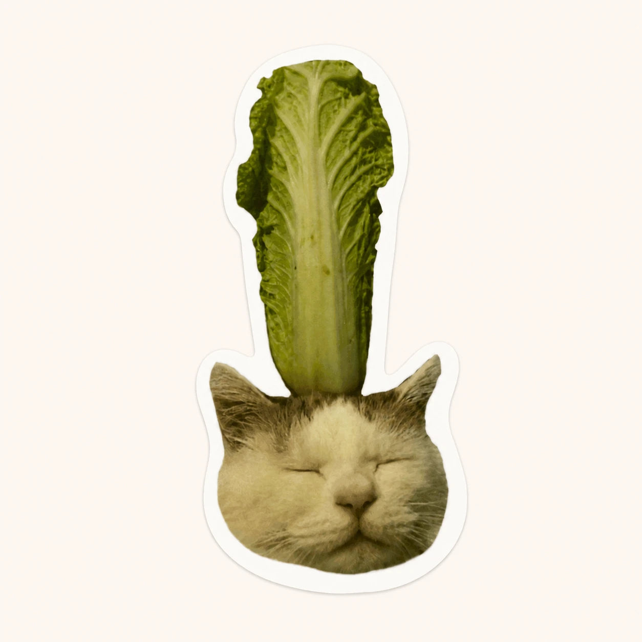 Cat With Lettuce Sticker