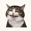 Grinning Cat Meme Sticker
