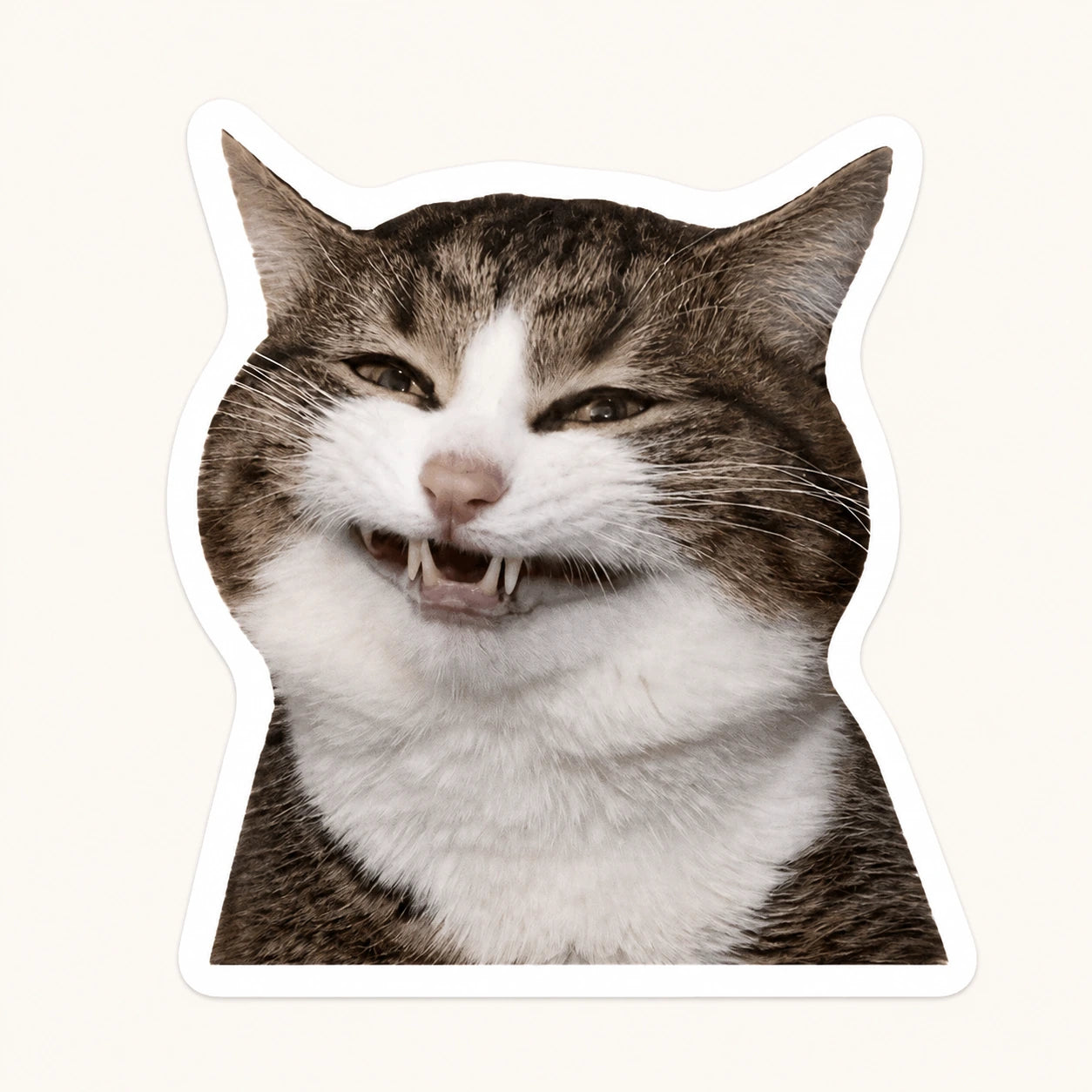 Grinning Cat Meme Sticker