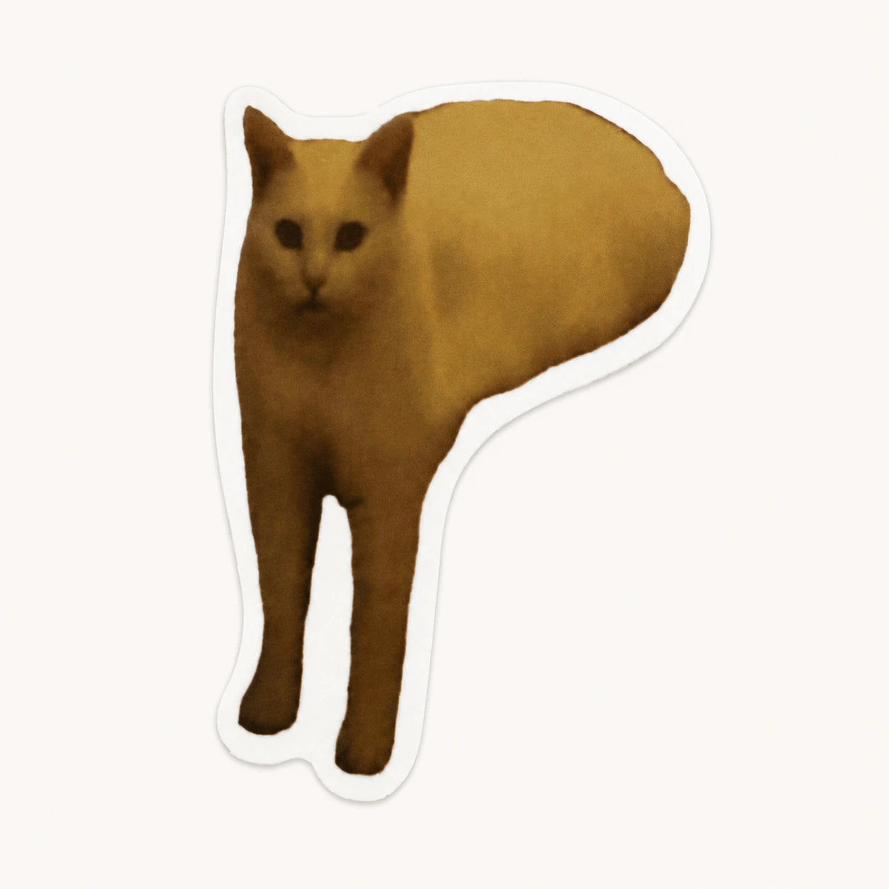 Wide Cat Meme Sticker