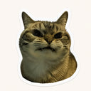 Grumpy Fanged Tabby Cat Sticker